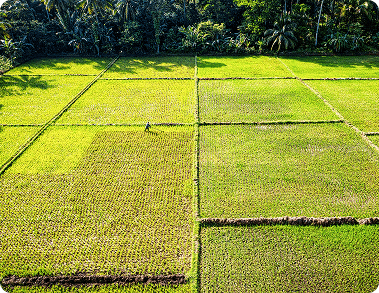 Agriculture Applications