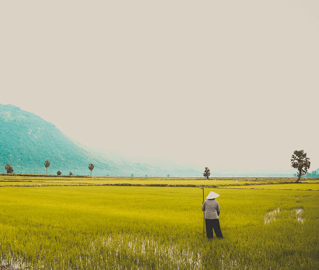 Agri-business