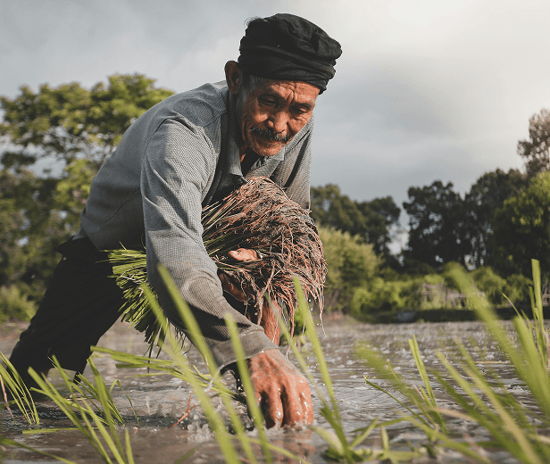 for-farmers
